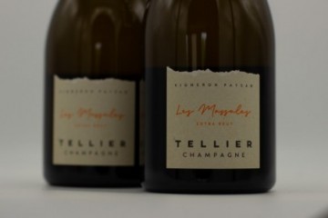 Champagne Tellier Extra...