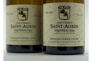 Fabien Coche Saint-Aubin...