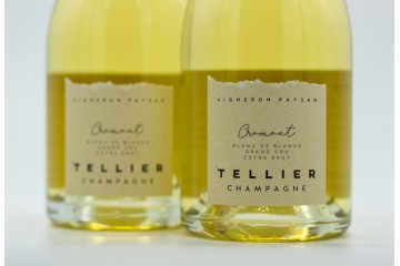 Champagne Tellier Extra...