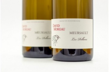 David Moreau Meursault...