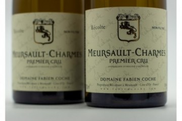 Fabien Coche Meursault...