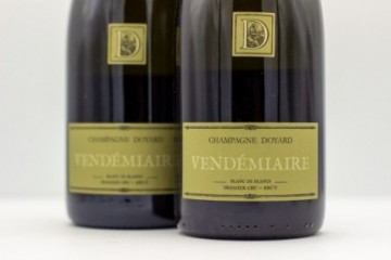 Champagne Doyard 1er cru...