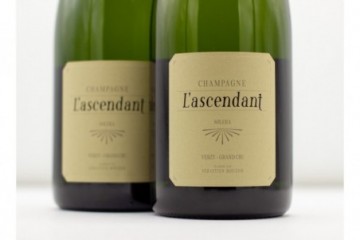 Champagne Mouzon-Leroux...