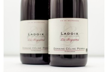 Céline Perrin Ladoix rouge...