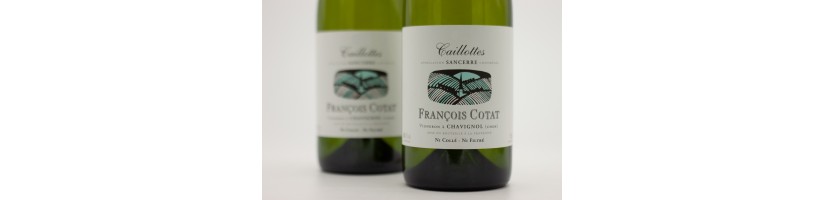 François Cotat Sancerre Les Caillottes 2023