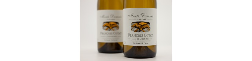 François Cotat Sancerre Les Monts Damnés 2023