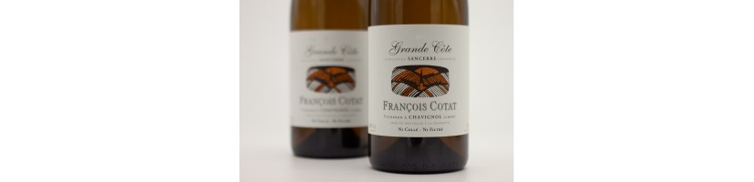 François Cotat Sancerre La Grande Côte 2023